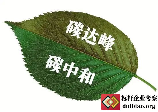 碳達峰