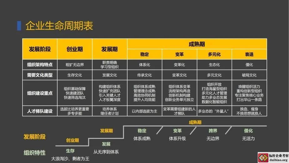 企業生命周期