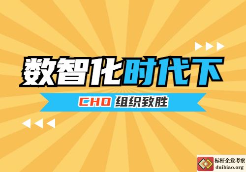數智化時代下CHO組織致勝第一課