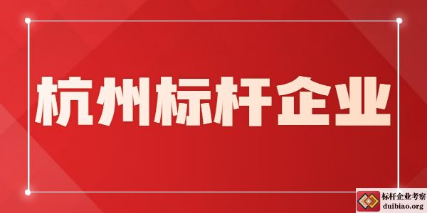 杭州標桿企業考察