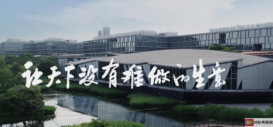 阿里巴巴愿景
