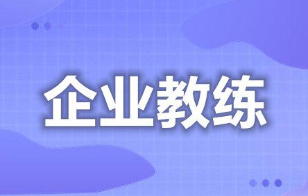 企業(yè)教練