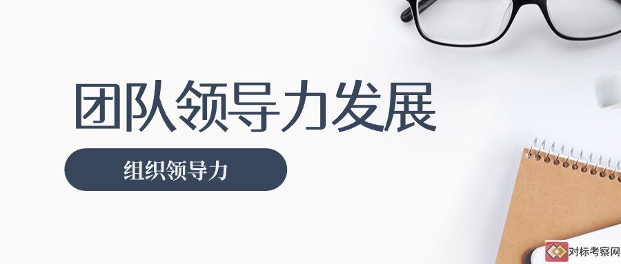 團隊領導力發展